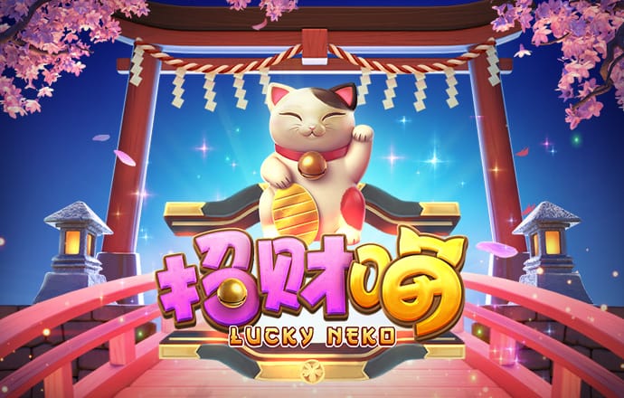 大红鹰dhy9999